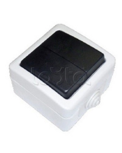 Экопласт EF602SA Переключатель 2-полюсный, двухклавишный с 2-х мест (сх.6+6) 10A (сер.) в Королеве Розетки компьютерные и телефонные Pintop.ru