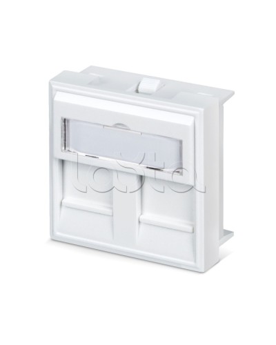 Вставка 45x45 (аналог Mosaic) для 2 модулей формата Keystone Jack Cabeus FP-45-2M в Королеве Модули Keystone Pintop.ru