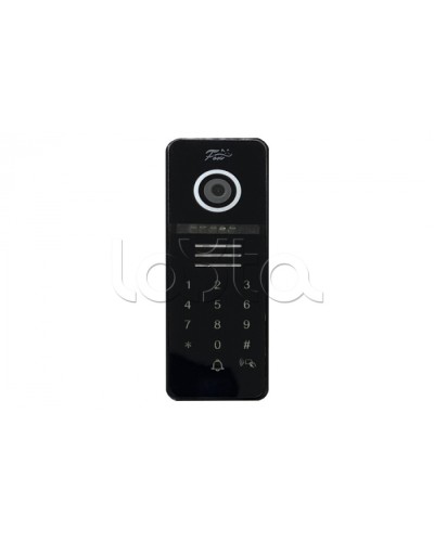 Видеопанель Fox FX-CP29 ЧЕРНЫЙ в Королеве Вызывные видеопанели малоабонентные Pintop.ru