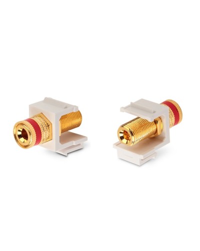 Вставка Hyperline (KJ1-BP/RD-HG-WH) в Королеве Коннекторы Pintop.ru