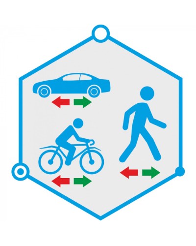 ПО детектор движения в запрещенном направлении TRASSIR Direction Detector в Королеве Системы видеонаблюдения Pintop.ru