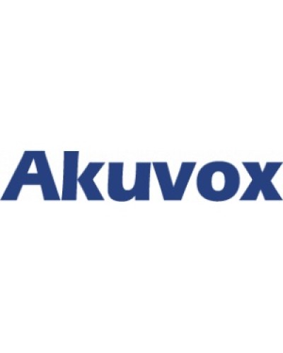 IP монитор (интерком-панель) Akuvox C313W_V2 в Королеве Абонентские IP устройства Pintop.ru