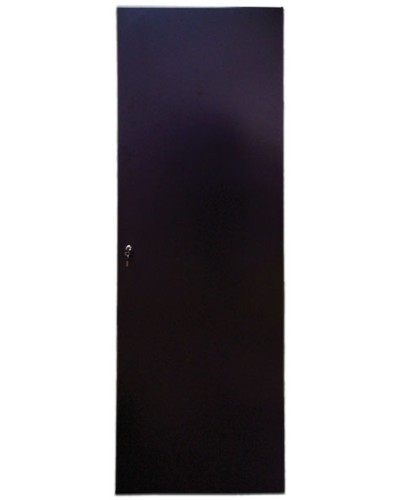 Дверь задняя для шкафов серии Business металл, 42U, ширина 600 мм TWT TWT-CBB-DRM1-42U-6 в Королеве Аксессуары для стоек и шкафов Pintop.ru