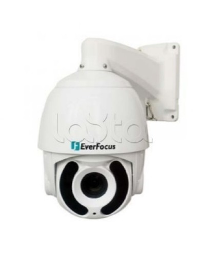 Камера видеонаблюдения поворотная купольная EverFocus EPA-6236 в Королеве Аналоговые камеры Pintop.ru