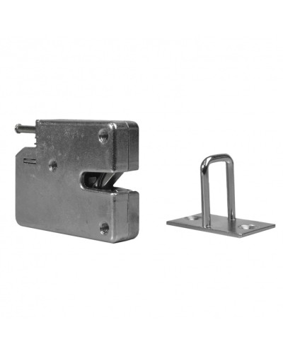 Замок электронный RusGuard CMS в Королеве Электромагнитные замки Pintop.ru