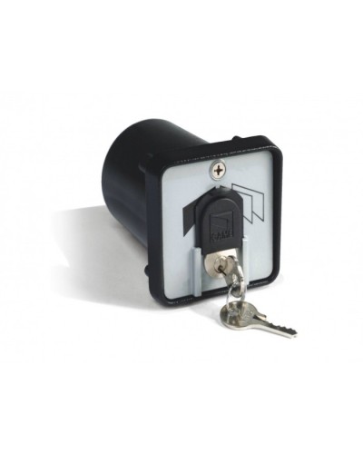 Ключ-выключатель с защитой цилиндра, встраиваемый Came 001SET-K в Королеве Запчасти для шлагбаумов и автоматики Pintop.ru