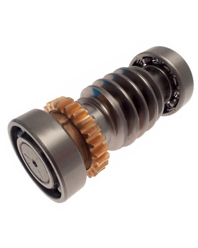 Червяк FROG Came 119RIA016 в Королеве Запчасти для шлагбаумов и автоматики Pintop.ru