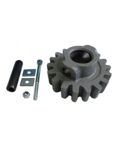 Шестерня ведущая ВК Came 119RIBK002 в Королеве Запчасти для шлагбаумов и автоматики Pintop.ru