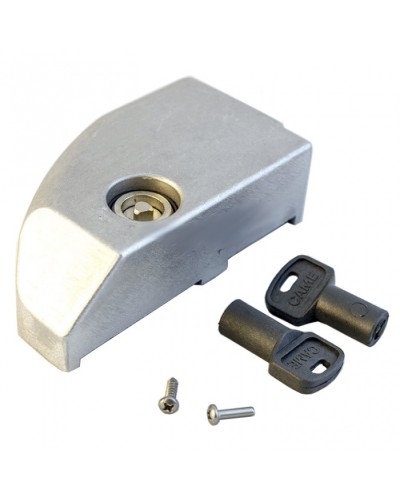 Дверца замка разблокировки BK Came 119RIBK012 в Королеве Запчасти для шлагбаумов и автоматики Pintop.ru