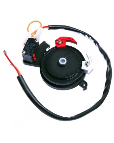 Концевые микровыключатели в сборе BX-243 Came 119RIBX041 в Королеве Запчасти для шлагбаумов и автоматики Pintop.ru