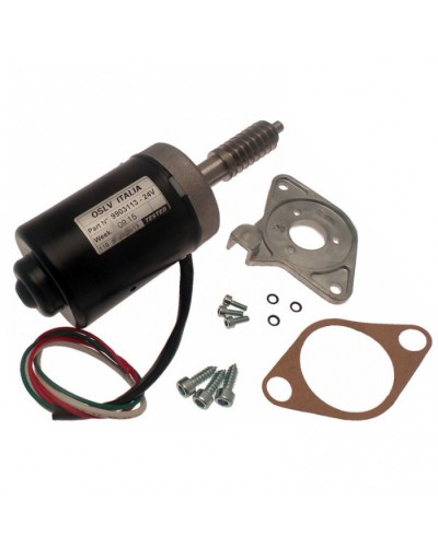 Электродвигатель BX-243 в сборе Came 119RIBX046 в Королеве Запчасти для шлагбаумов и автоматики Pintop.ru