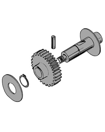 Вал в сборе C100 Came 119RIC011 в Королеве Запчасти для шлагбаумов и автоматики Pintop.ru