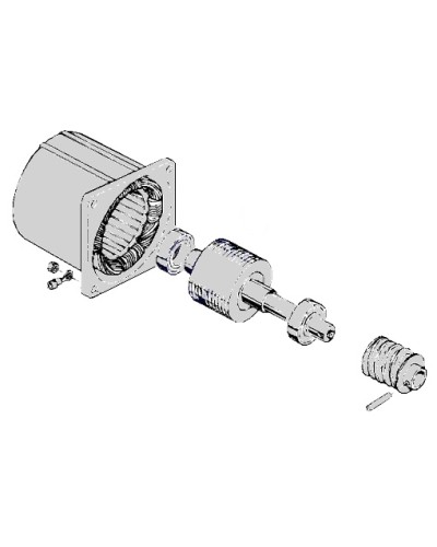 Электродвигатель С-100 Came 119RIC052 в Королеве Запчасти для шлагбаумов и автоматики Pintop.ru