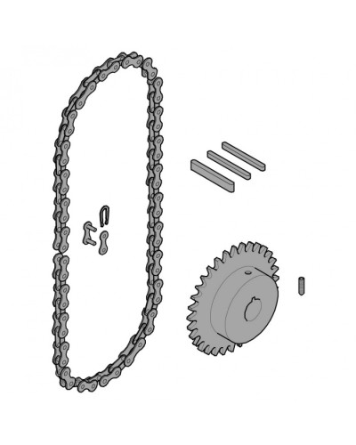 Передающая система (цепь и звездочки) C005 Came 119RICX016 в Королеве Запчасти для шлагбаумов и автоматики Pintop.ru