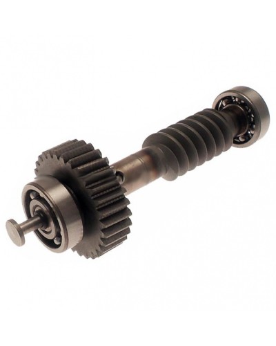 Червяк редуктора FAST в сборе Came 119RID228 в Королеве Запчасти для шлагбаумов и автоматики Pintop.ru