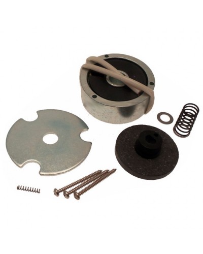 Электромагнит AMICO в сборе Came 119RID274 в Королеве Запчасти для шлагбаумов и автоматики Pintop.ru