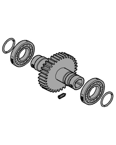 Вал выходной EMEGA Came 119RIE062 в Королеве Запчасти для шлагбаумов и автоматики Pintop.ru