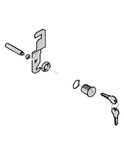 Замок дверцы G4040 G4041 Came 119RIG176 в Королеве Запчасти для шлагбаумов и автоматики Pintop.ru