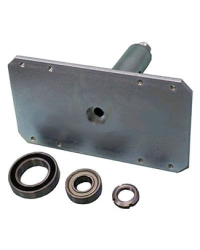 Электромагнит с механизмом разблокировки Came 119RIH022 в Королеве Запчасти для шлагбаумов и автоматики Pintop.ru