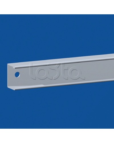 Притвор для секционной двери, для шкафов DAE/CQE Ш=600мм DKC R5TOE60 в Королеве Аксессуары для стоек и шкафов Pintop.ru