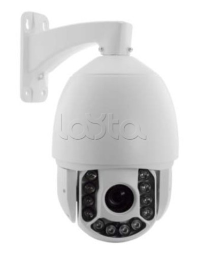 IP-камера видеонаблюдения купольная EverFocus ACE-ATE2033 в Королеве IP-камеры Pintop.ru