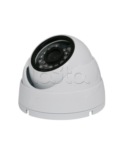 Камера видеонаблюдения купольная EverFocus ACE-IAB20XHD в Королеве Аналоговые камеры Pintop.ru