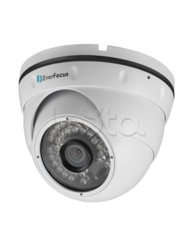 IP-камера видеонаблюдения купольная EverFocus ACE-IAV30 в Королеве IP-камеры Pintop.ru