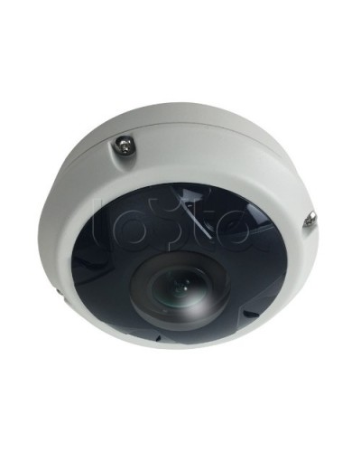 IP-камера видеонаблюдения купольная EverFocus ACE-KU89F в Королеве IP-камеры Pintop.ru