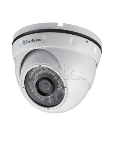 IP-камера видеонаблюдения уличная купольная EverFocus EBN-268 в Королеве IP-камеры Pintop.ru