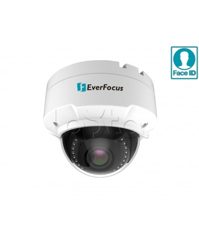 IP-камера видеонаблюдения купольная EverFocus EHN-2550 в Королеве IP-камеры Pintop.ru