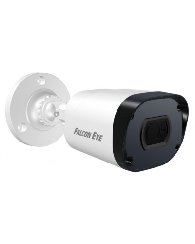 IP-камера видеонаблюдения в стандартном исполнении Falcon Eye FE-IPC-B2-30p в Королеве IP-камеры Pintop.ru