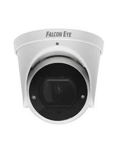 IP-камера видеонаблюдения купольная Falcon Eye FE-IPC-DV5-40pa в Королеве IP-камеры Pintop.ru