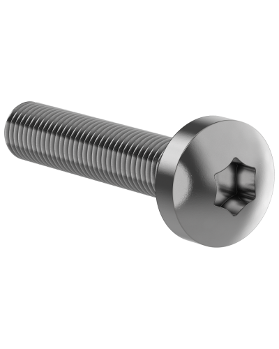 Винт М6х30 IEK (FO-00D-VTORX-M6X30-020) в Королеве Аксессуары для стоек и шкафов Pintop.ru