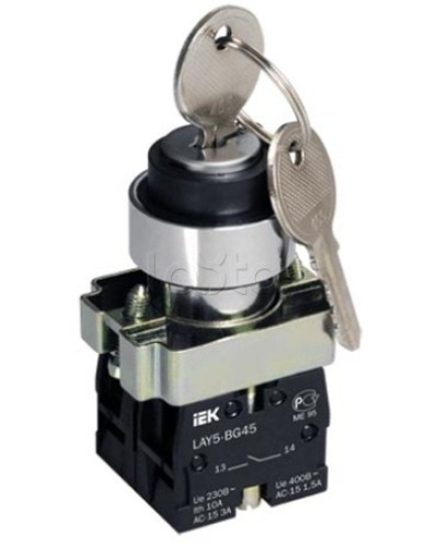 Переключатель LAY5-BG45 на 2 положения с ключом без фиксации IEK BSW80-BG-2-K02 в Королеве Аксессуары для стоек и шкафов Pintop.ru