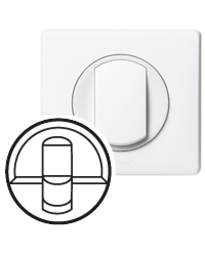 Клавиша для выключателя Celiane Legrand 068251 в Королеве Аксессуары для кабель-канала Pintop.ru