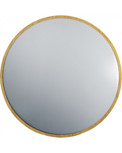 Светильник Navigator 93 459 NLF-C-025-01 в Королеве Светильники Pintop.ru