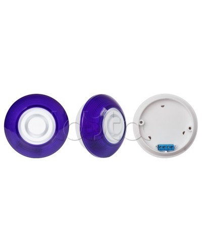 Оповещатель комбинированный SLT Марс 12-КП (строб, син) в Королеве Оповещатели Pintop.ru