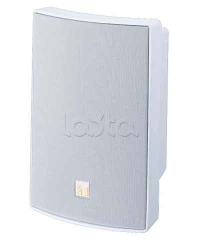 Громкоговоритель универсальный двухполосный TOA BS-1030W в Королеве Системы оповещения и трансляции TOA Pintop.ru