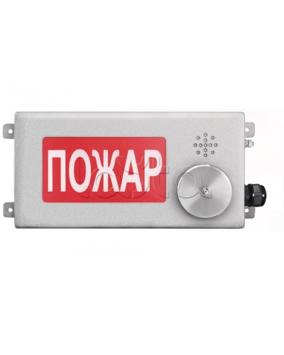 Табло светозвуковое взрывозащищенное Спектрон ТСЗВ-Exm-Н-Прометей-МИНИ 220В в Королеве Оповещатели Ex Pintop.ru