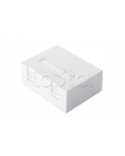 Настенная коробка 2-портовая со шторками, белый Eurolan (12B-04-02WT-2) в Королеве Розетки компьютерные и телефонные Pintop.ru