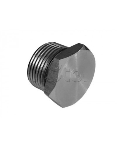 Металлическая резьбовая заглушка взрывозащищённая Магнито-контакт Ех-заглушка ВЗ 2 М Н (под Ø 25) 1Ex d IIС Gb/PB Ex d I Mb или Ex tb IIIС Db или 0Ex ia IIC Ga или 1Ex e IIС Gb в Королеве Дополнительное оборудование (Ex) Pintop.ru