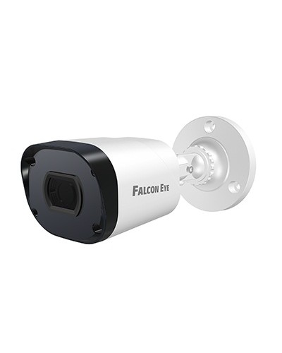 IP-камера видеонаблюдения в стандартном исполнении Falcon Eye FE-IPC-B5-30pa в Королеве IP-камеры Pintop.ru